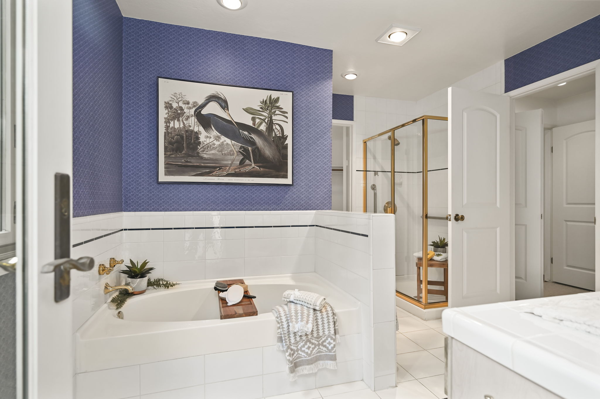 Soaking Tub and Shower