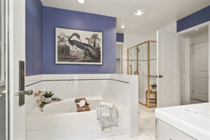 Soaking Tub and Shower
