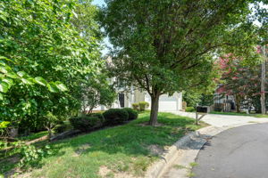 Front Yard