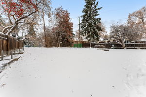  Photo 51