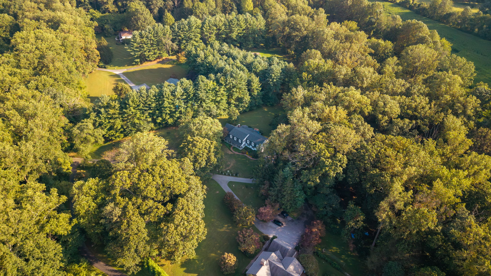 Drone 6