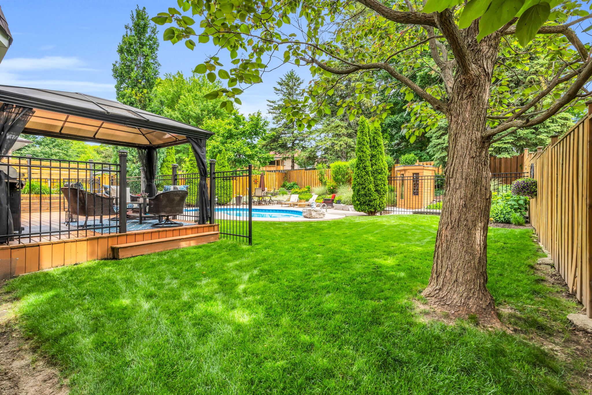 Backyard