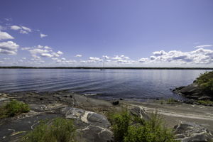  Photo 51