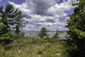  Photo 52