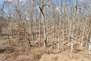 Kings Ct-S1103-071.jpg