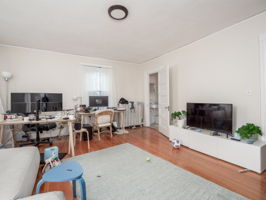 3 Monmouth st unit 4 Sommerville -2