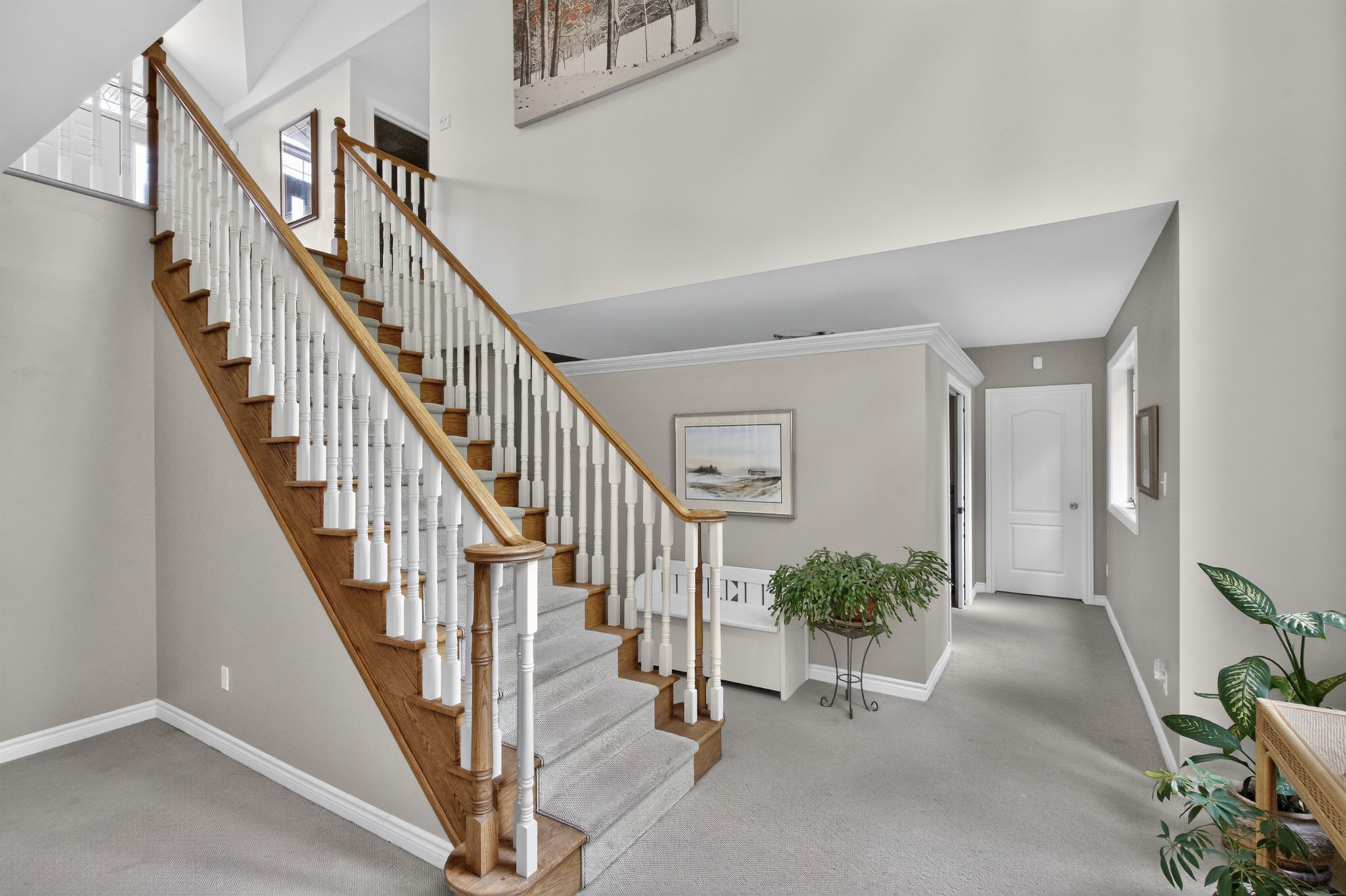  Photo 74