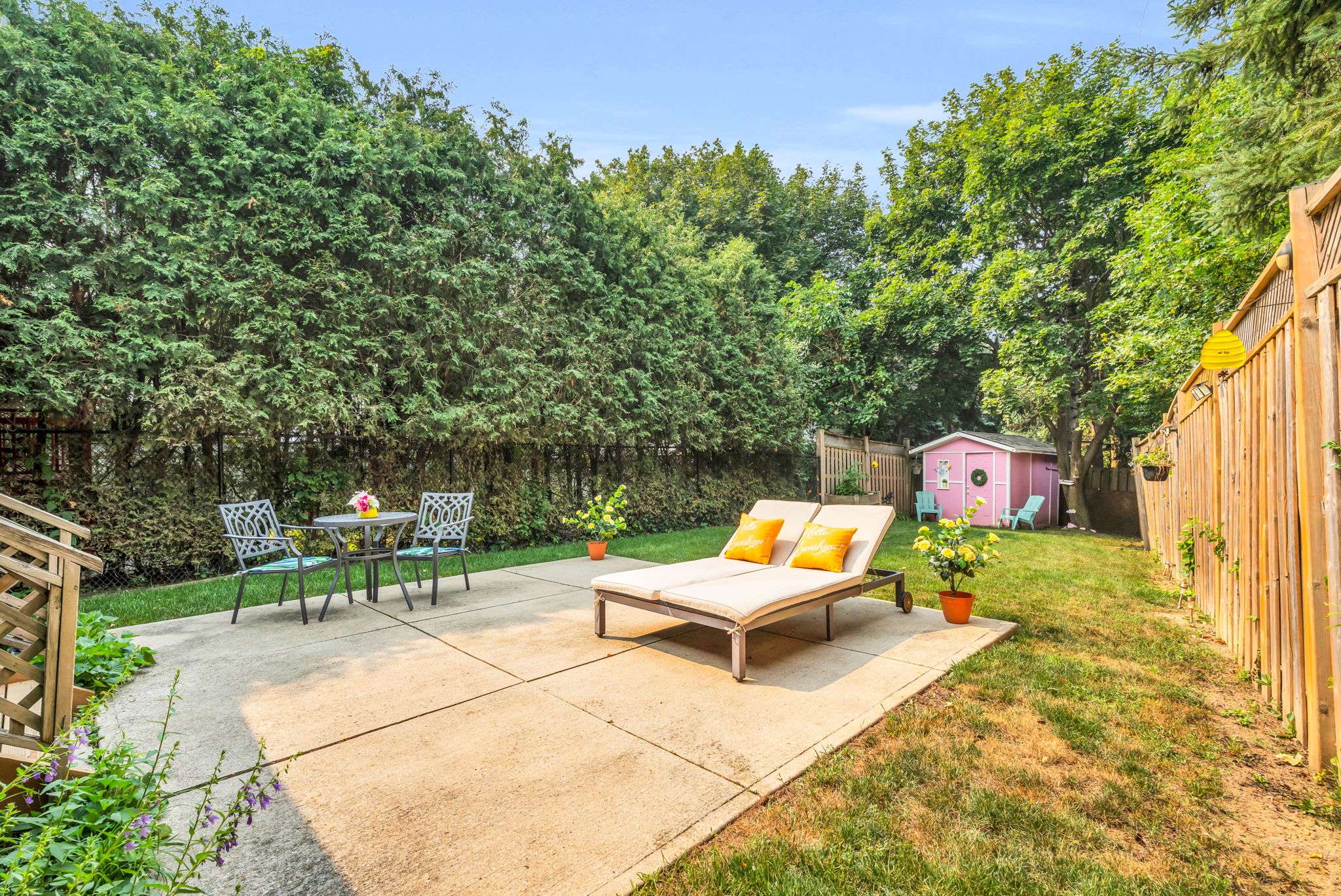 Backyard