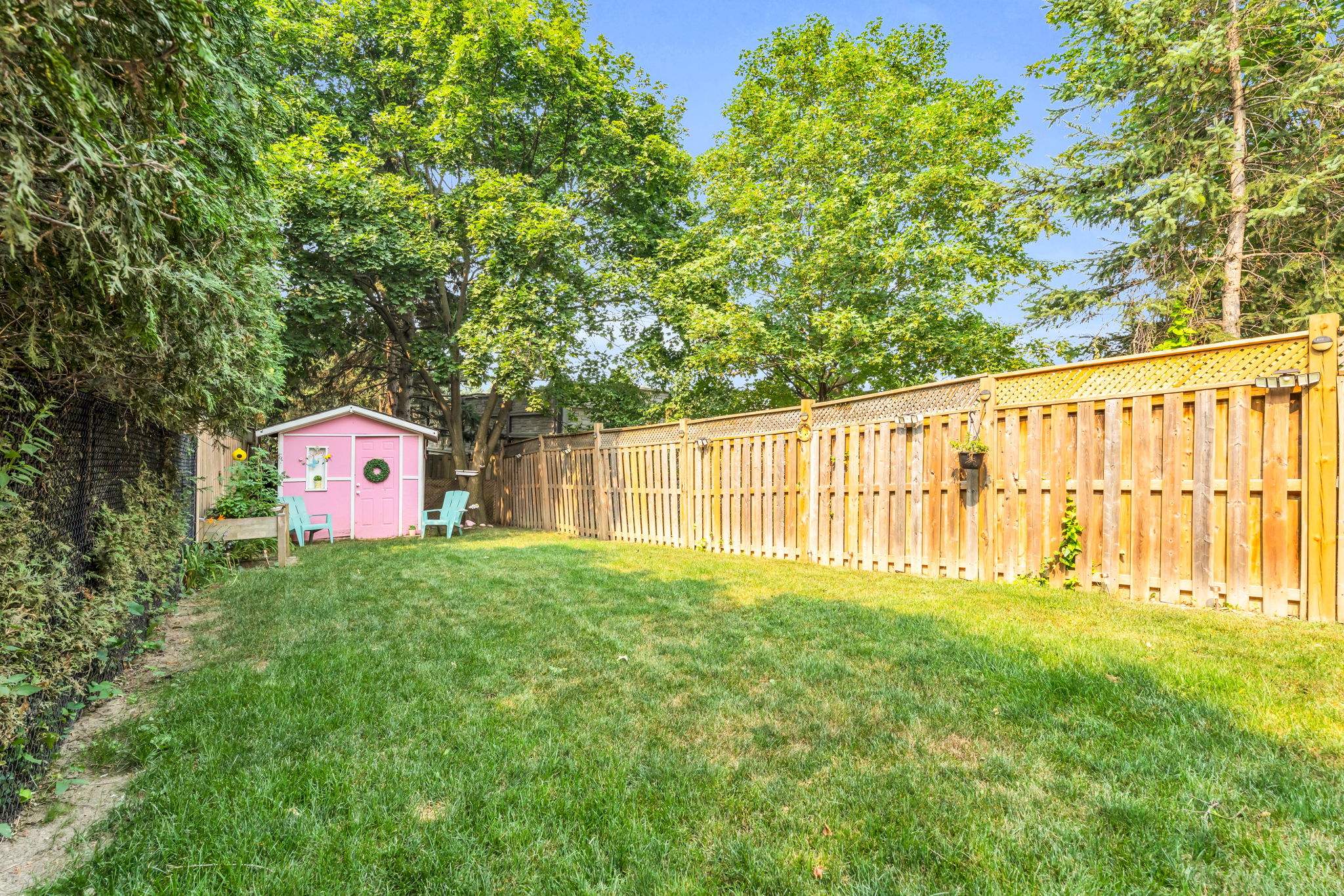 Backyard