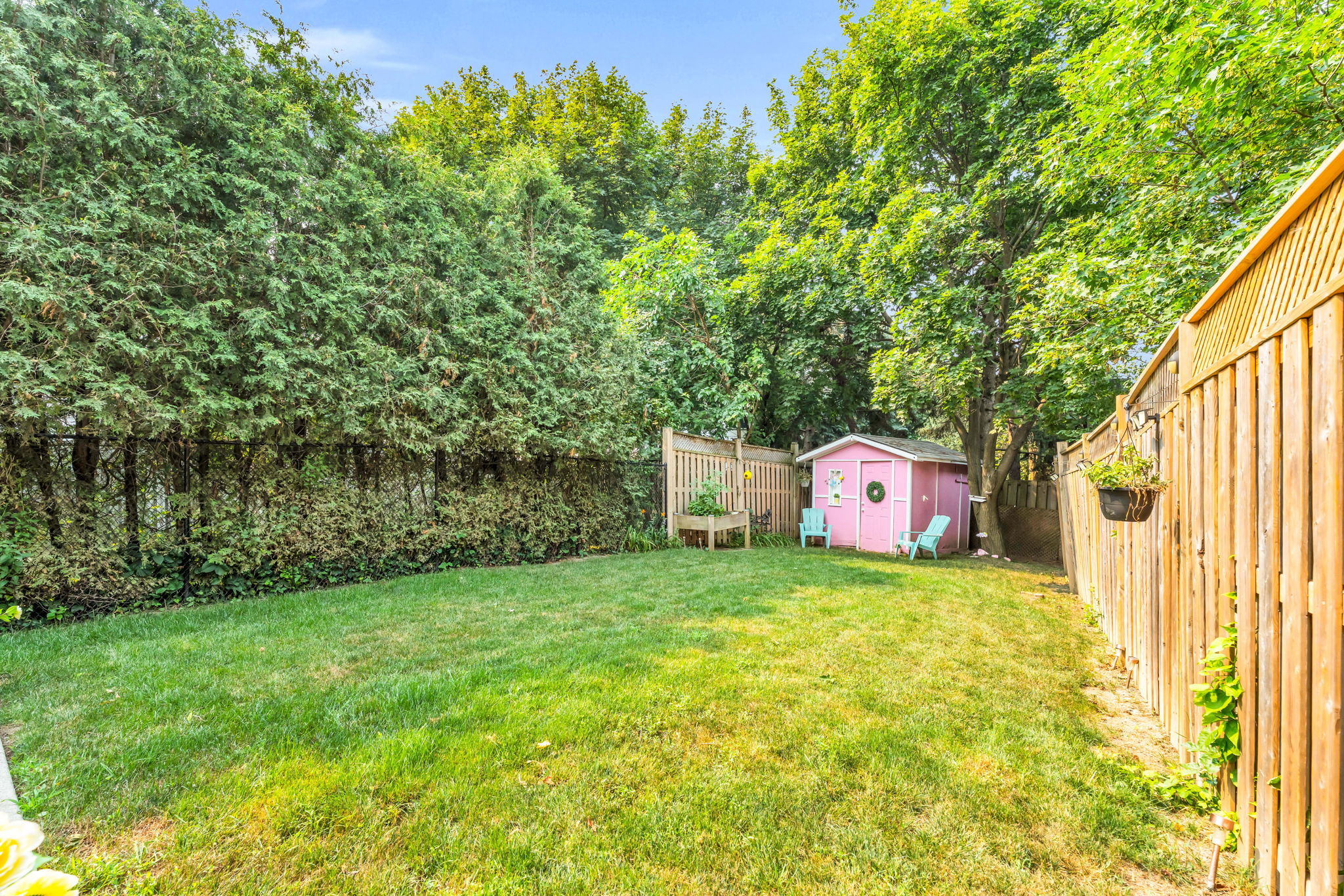 Backyard