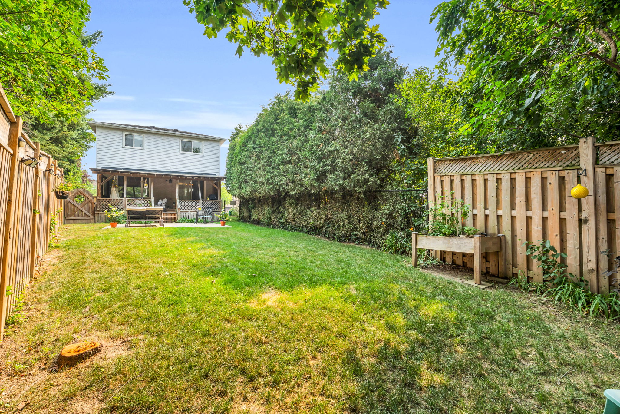 Backyard