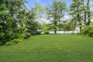  Photo 49