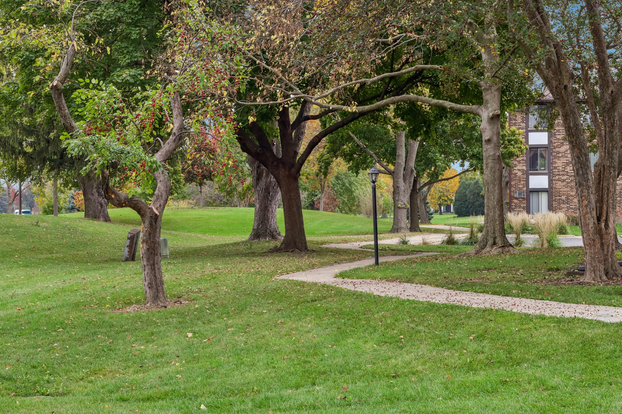 Timber Ln-3010-902.jpg