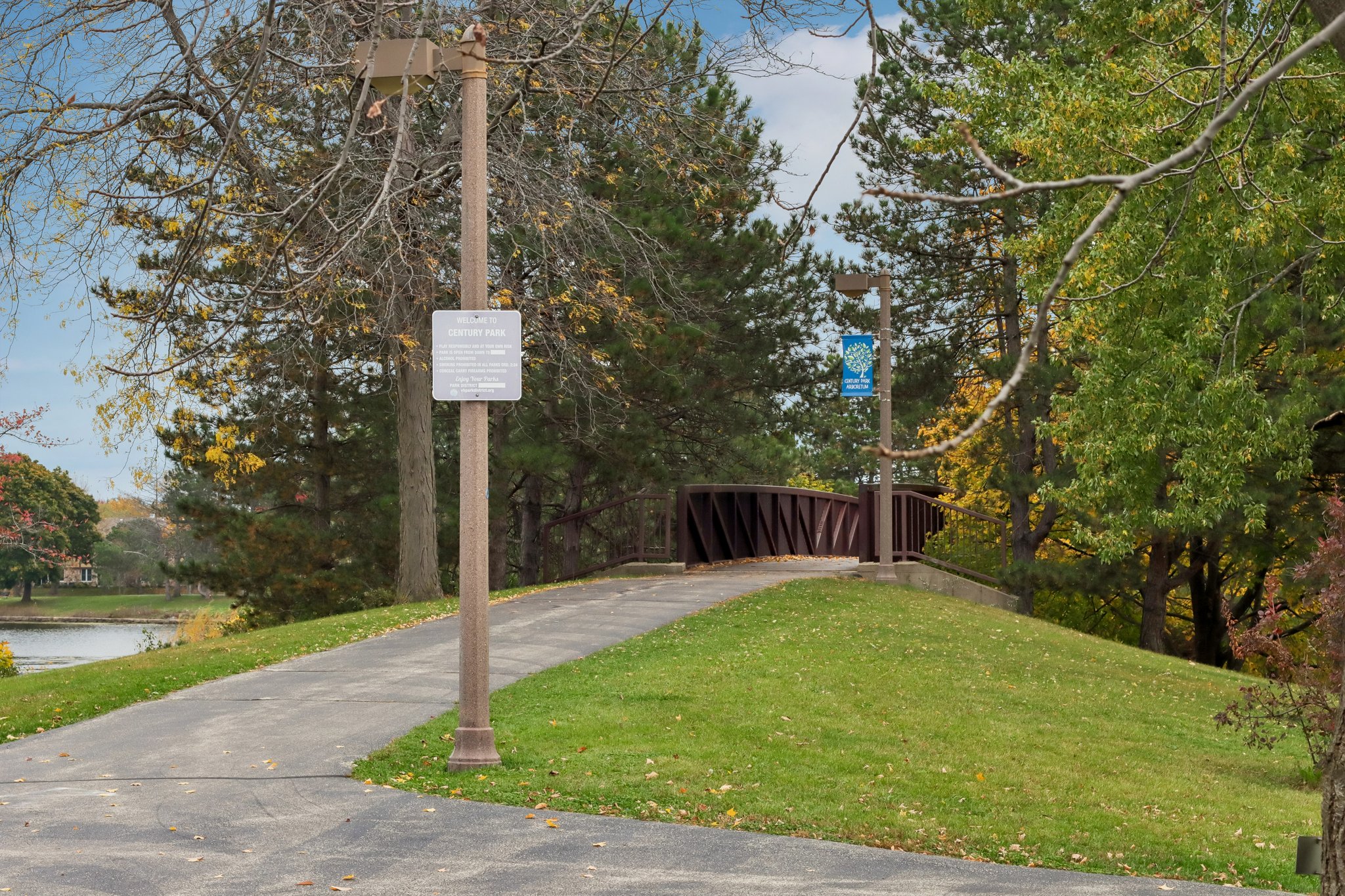 Timber Ln-3010-906.jpg