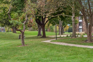 Timber Ln-3010-902.jpg