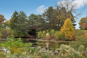 Timber Ln-3010-903.jpg