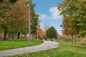 Timber Ln-3010-904.jpg