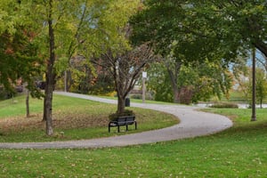 Timber Ln-3010-905.jpg