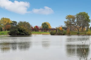Timber Ln-3010-909.jpg