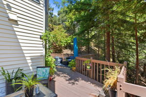 046_F8_3 Wildwood Pl
