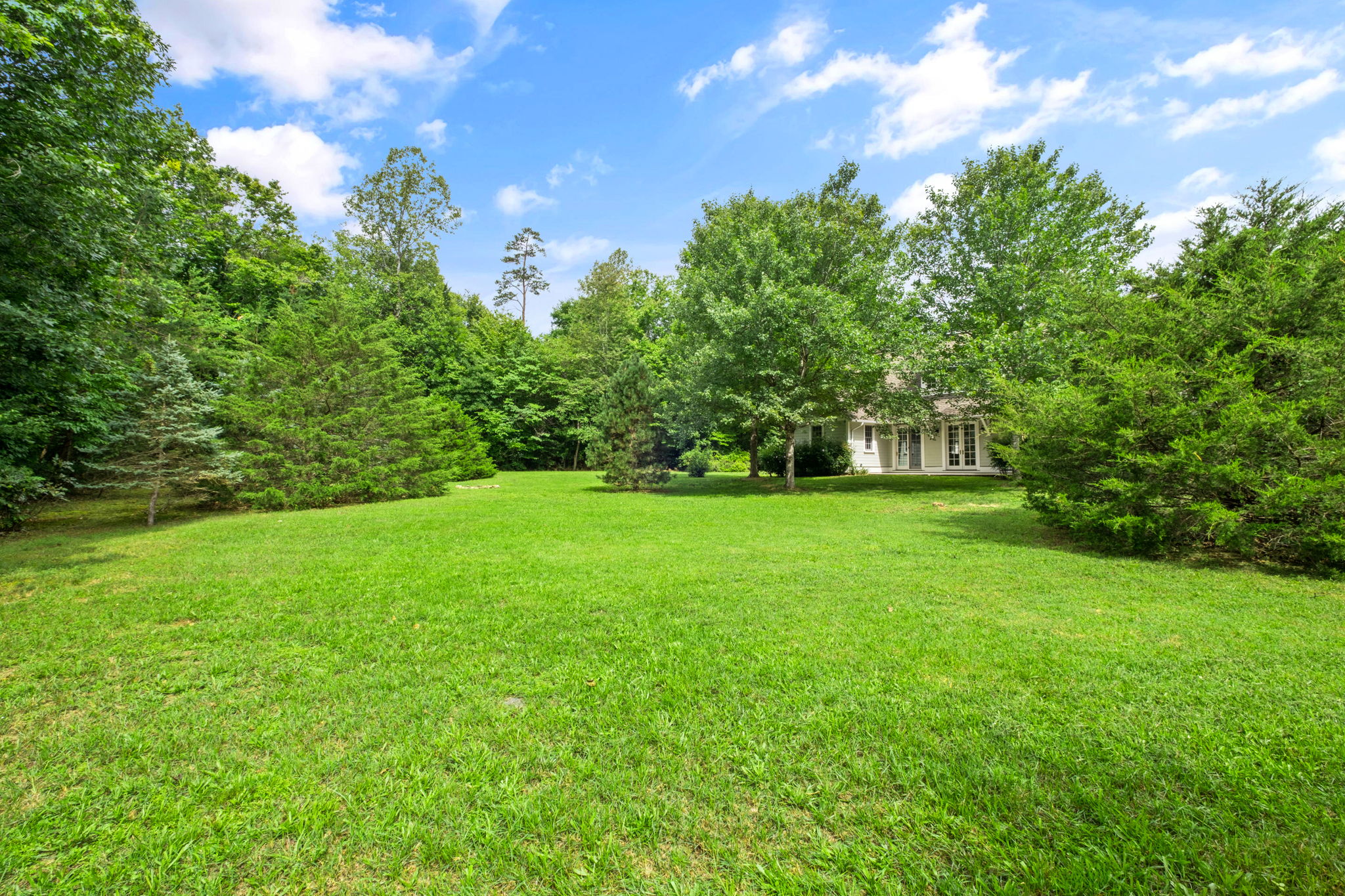  Photo 38