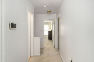 Photo 39