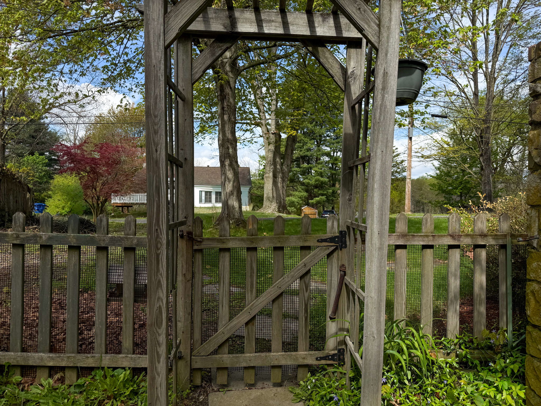 Photo 41