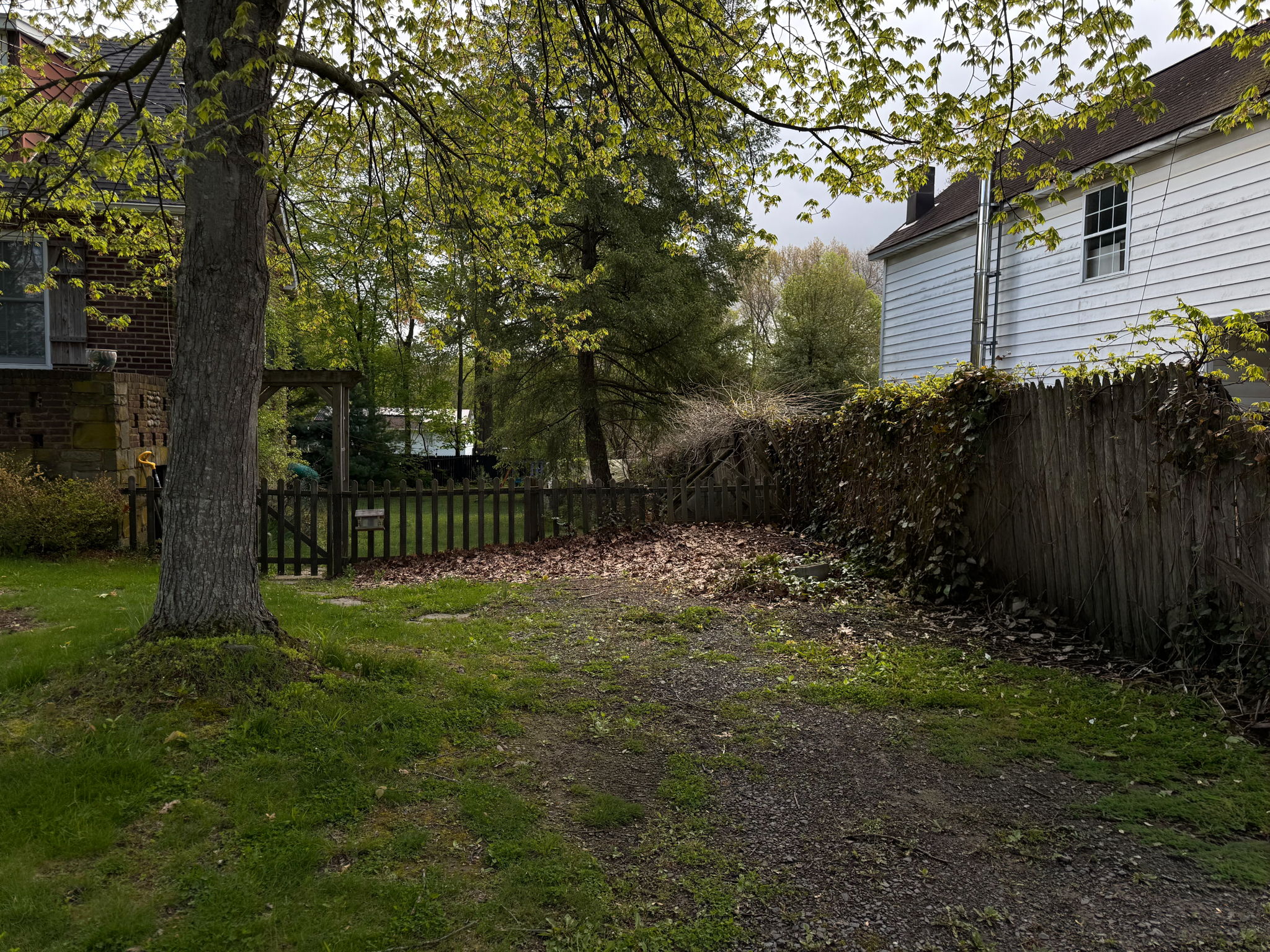  Photo 36