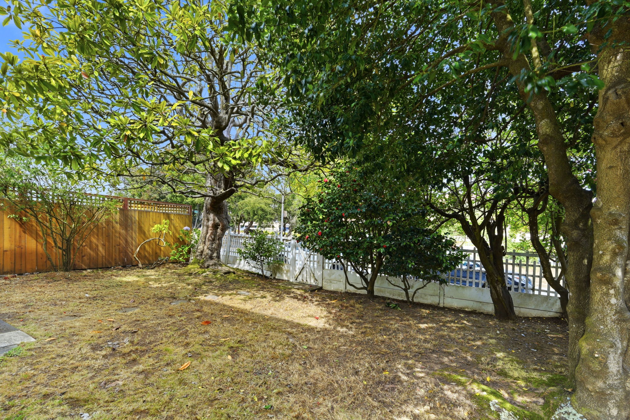 052_F8_30 Elmhurst Dr