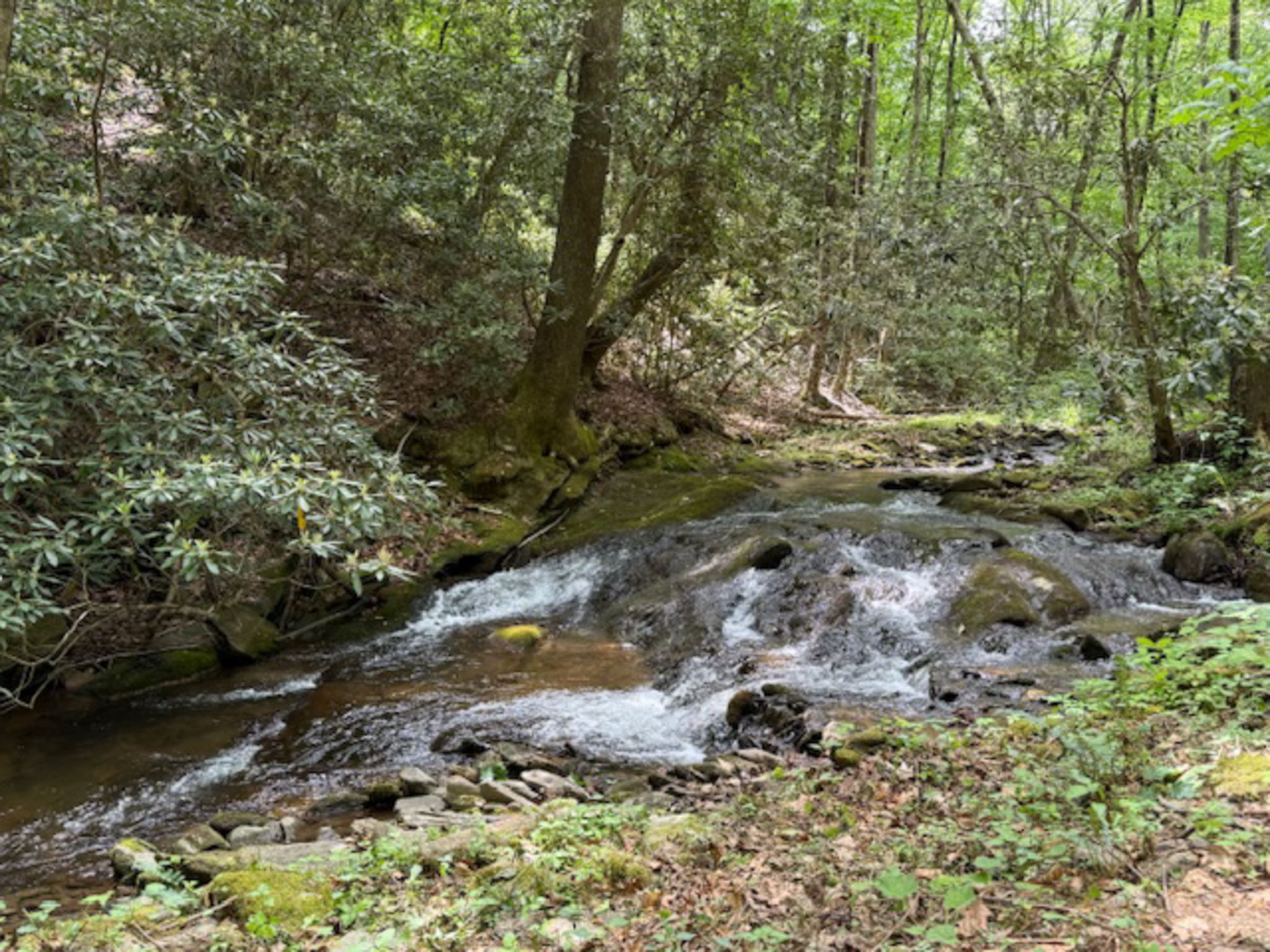  Photo 100