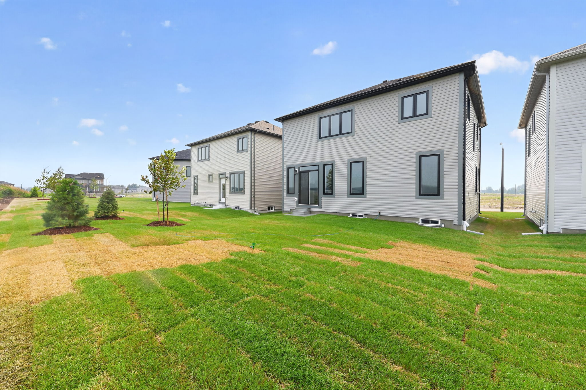  Photo 51