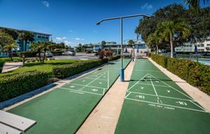 33-Shuffleboard3