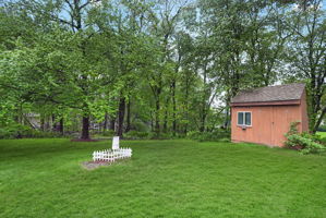  Photo 45