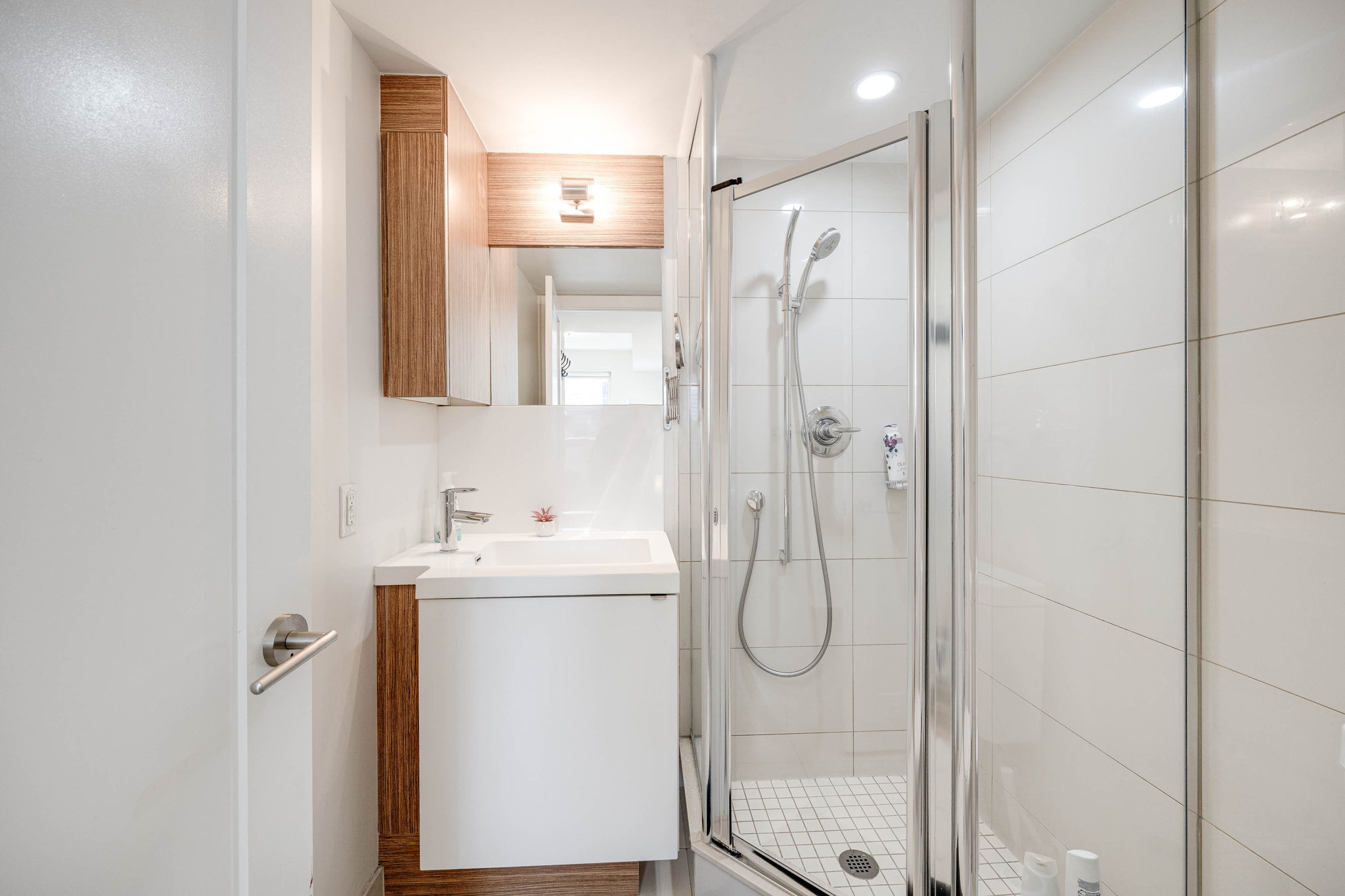 Toronto property showcase — delivered property photograph 14