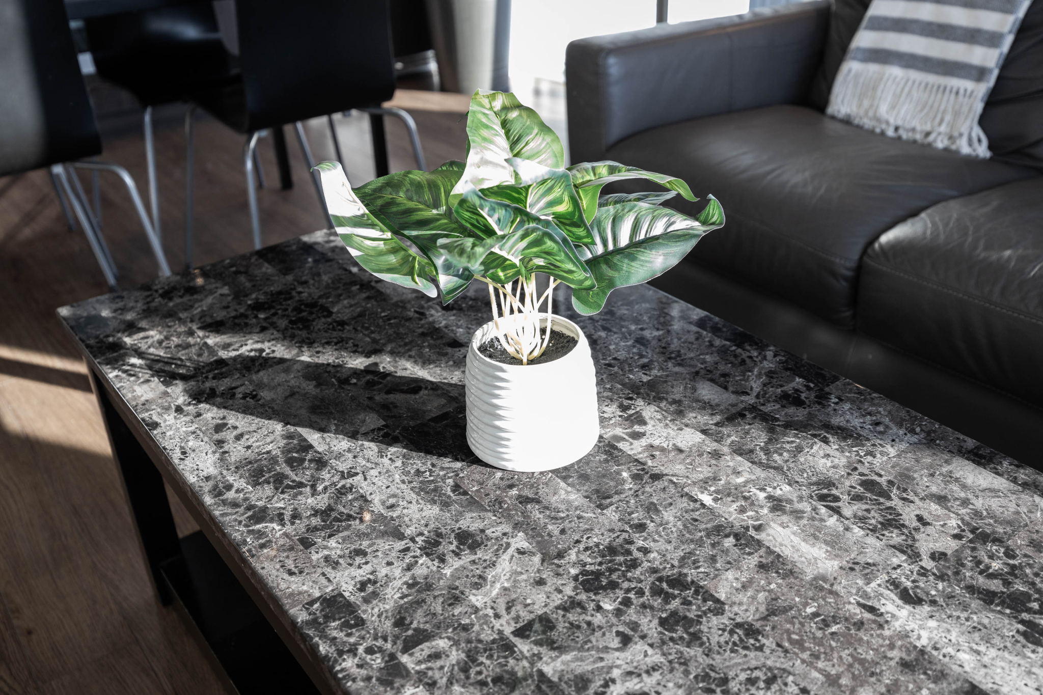 Toronto property showcase — delivered property photograph 33
