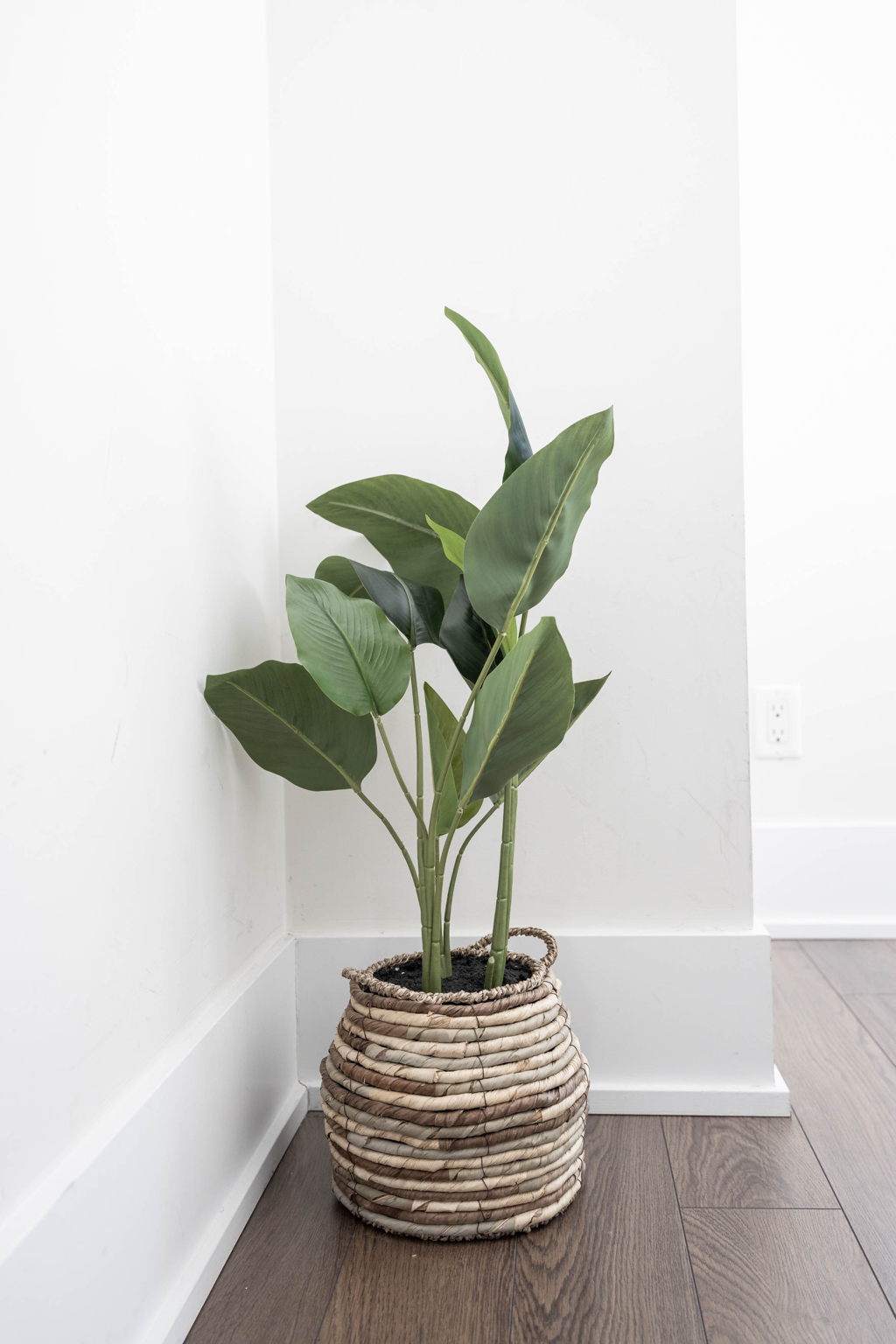 Toronto property showcase — delivered property photograph 41