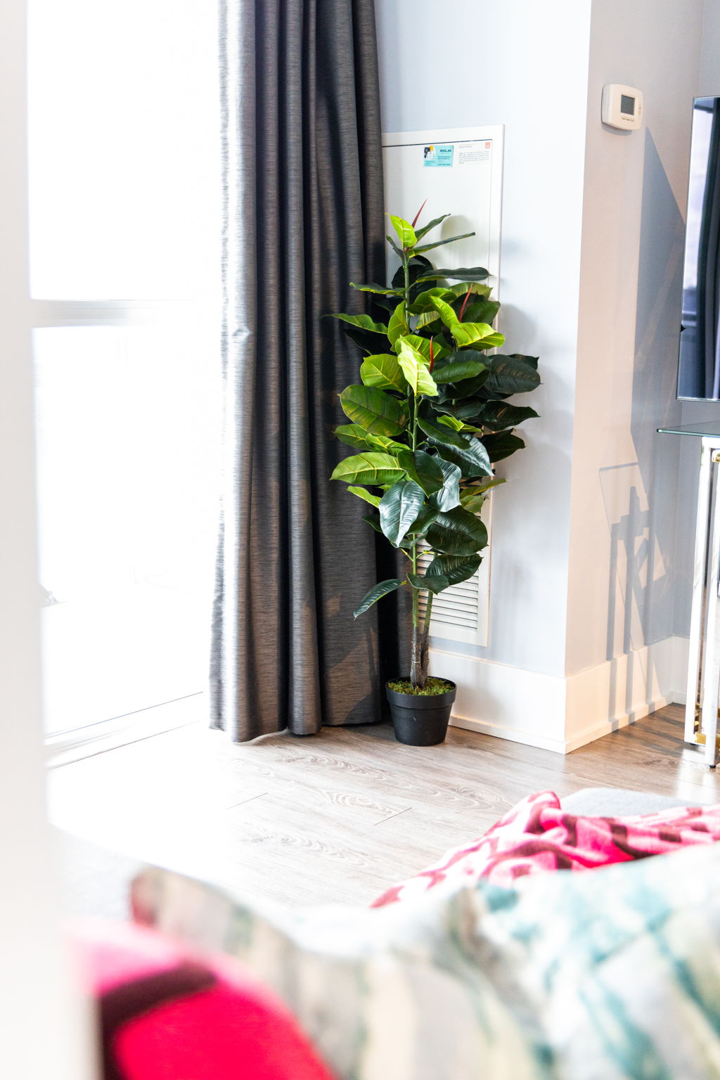 Toronto property showcase — delivered property photograph 14