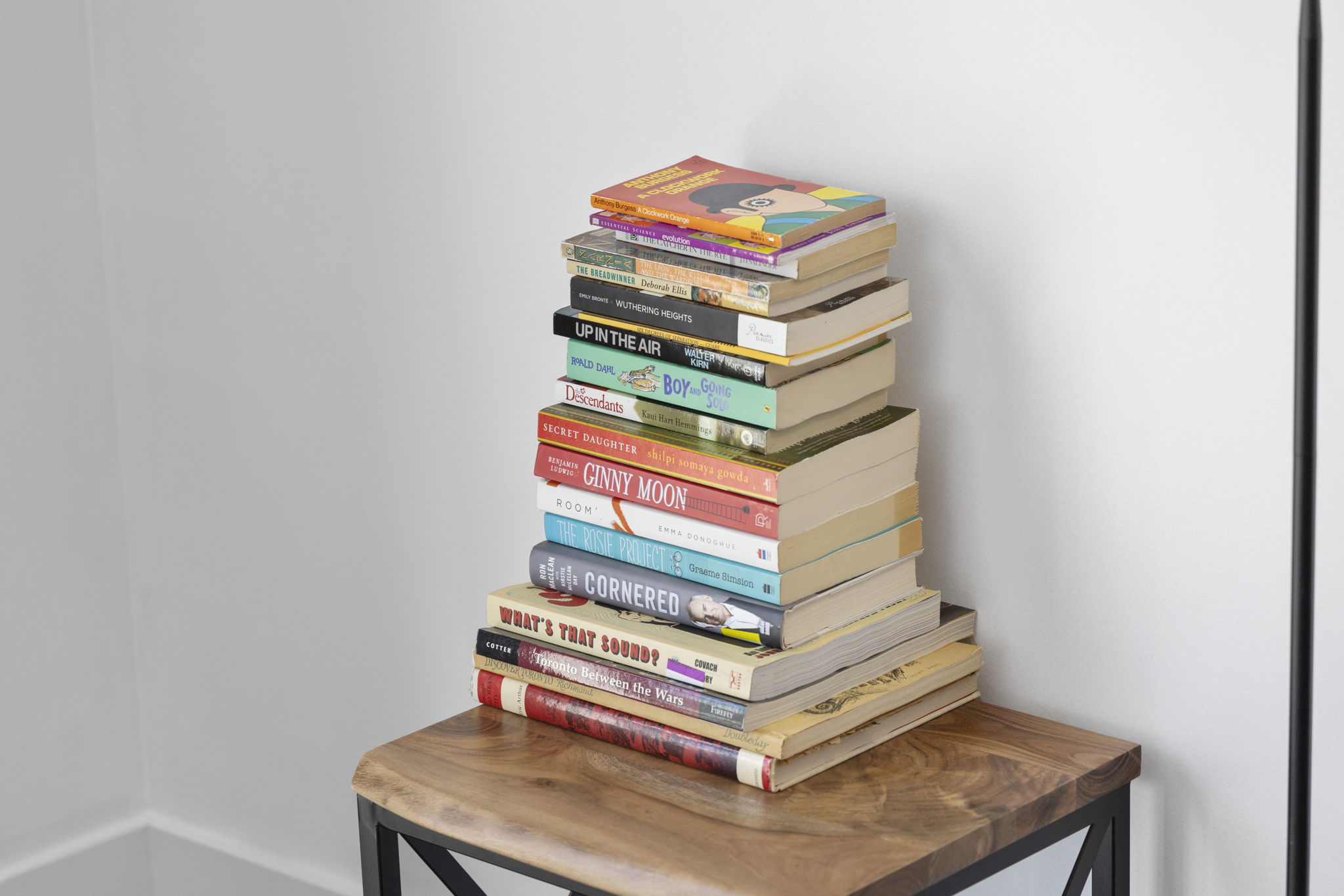 Toronto property showcase — delivered property photograph 19
