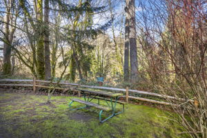 Outdoor space for gatherings