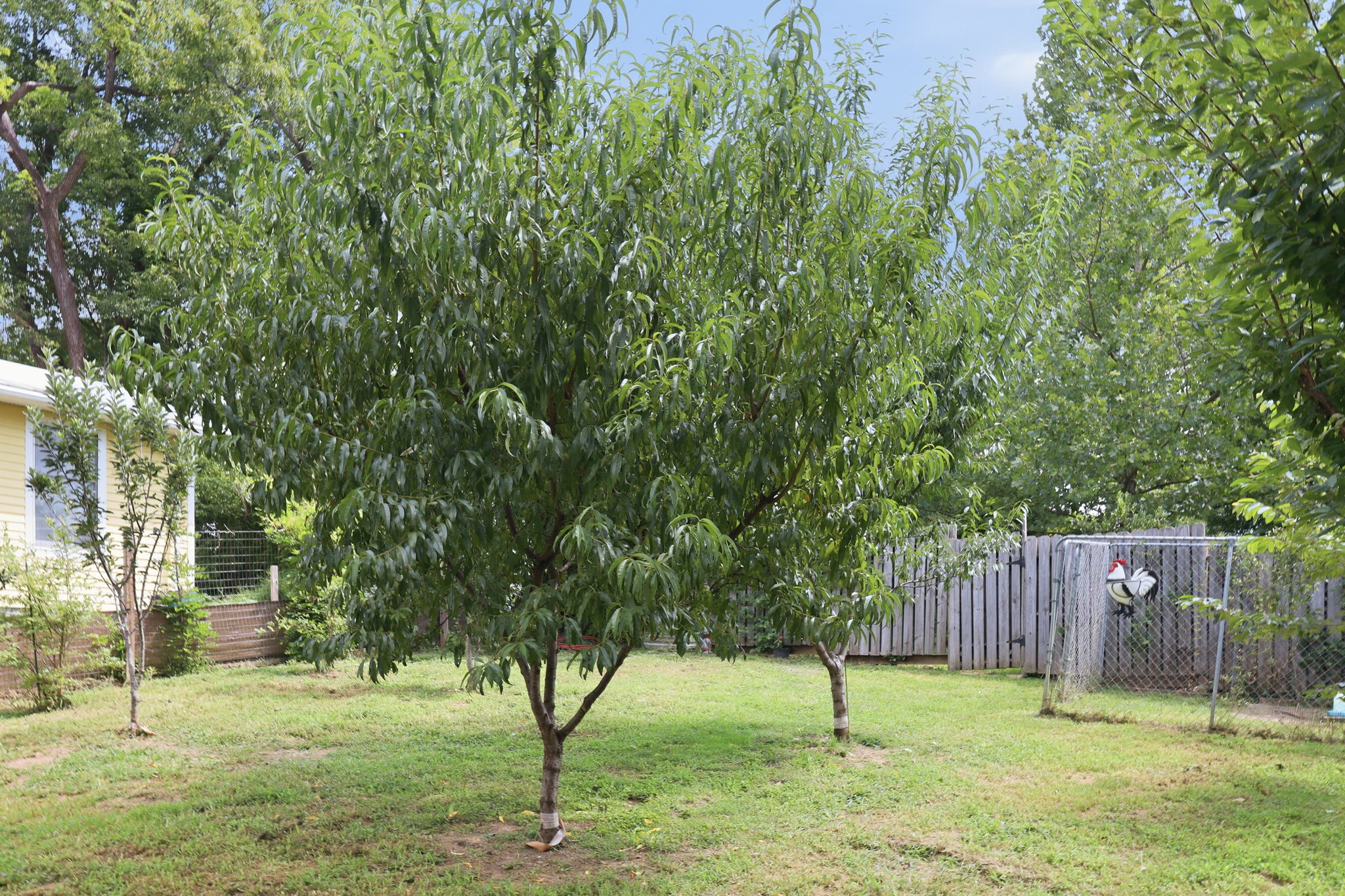  Photo 41