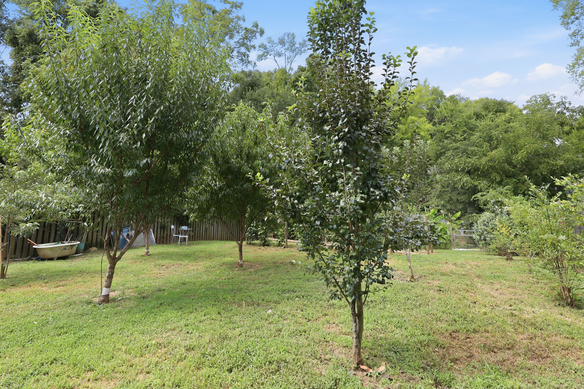  Photo 43