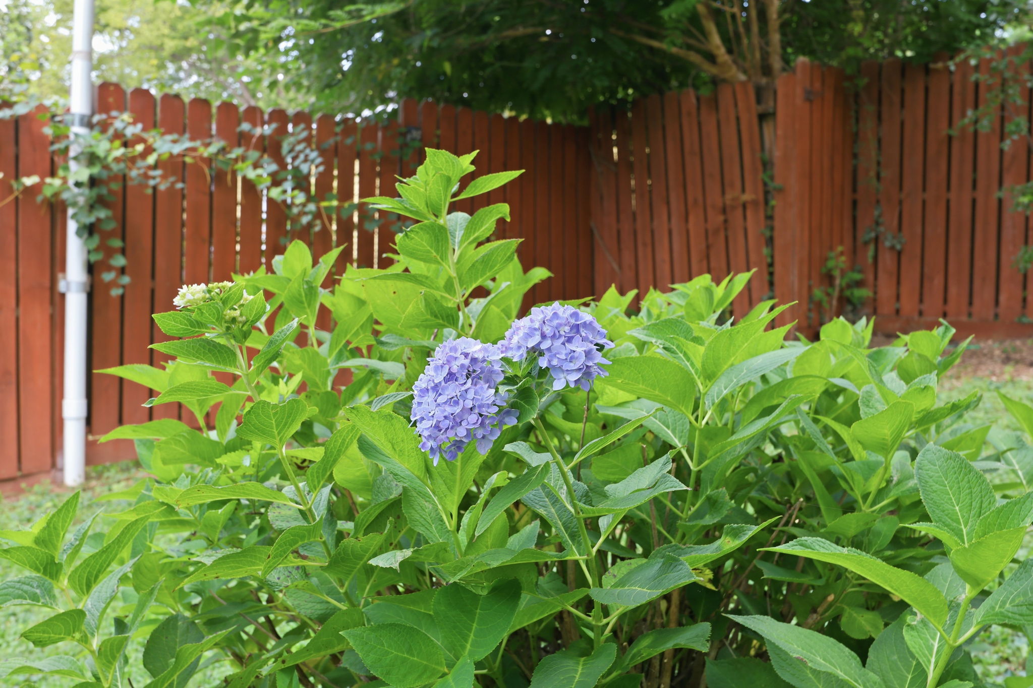  Photo 49