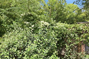  Photo 35