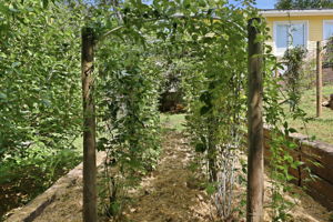  Photo 37