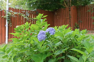  Photo 48