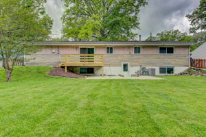 Back View