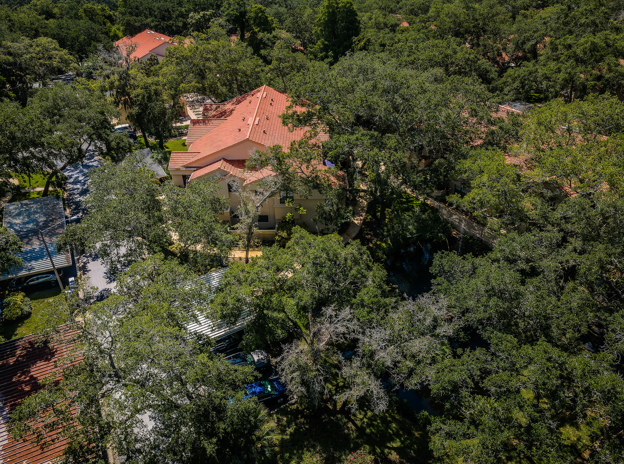 Aerial (1)