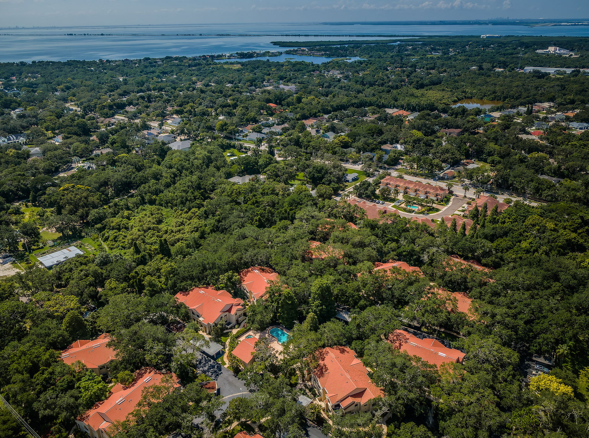 Aerial (9)