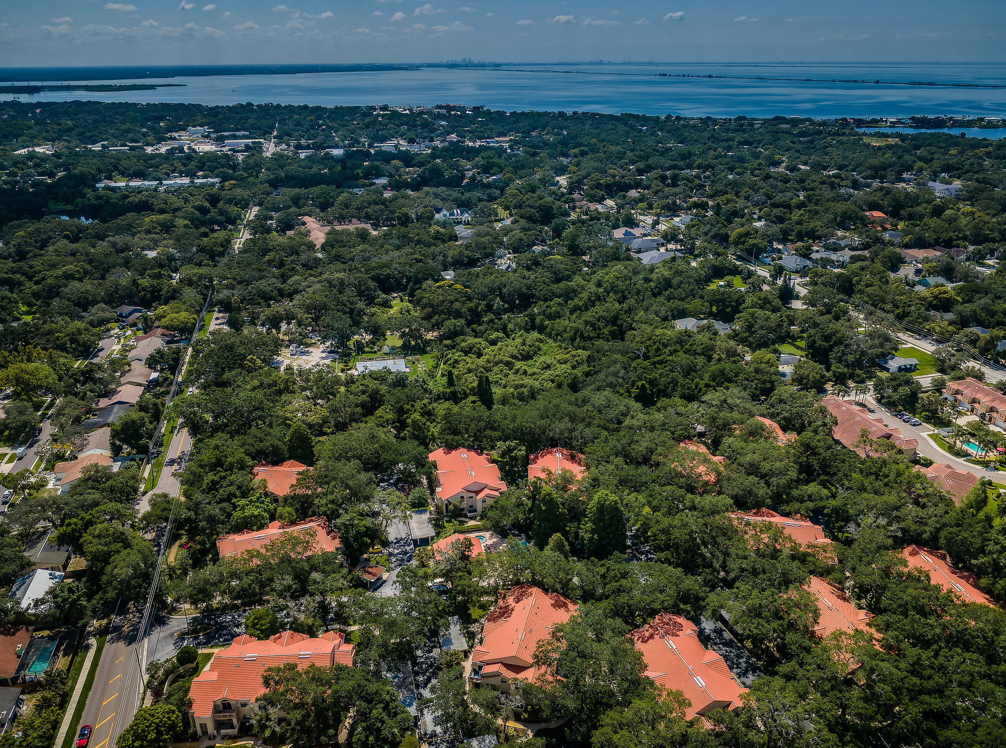 Aerial (10)