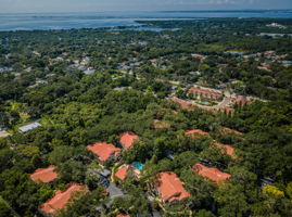Aerial (9)